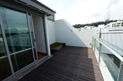 Radiance @ Bukit Timah (D21), Terrace #485923171